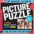 The Amazing Life Picture Puzzle Page-A-Day Calendar 2009 (Page a Day Fun & Games Calendr)