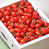 本場山形産　さくらんぼ　佐藤錦・紅秀峰　約1kg　大粒Ｌサイズ（バラ詰めお買い得品）　冷蔵便発送