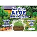 Soothing Aloe Rock Garden