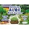 Soothing Aloe Rock Garden