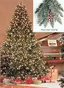 6.5' Pre-Lit Full Hawthorne Fir Frosted Artificial Christmas Tree - Clear Lights