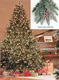 6.5' Pre-Lit Full Hawthorne Fir Frosted Artificial Christmas Tree - Clear Lights