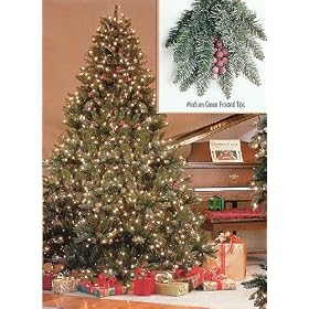 6.5' Pre-Lit Full Hawthorne Fir Frosted Artificial Christmas Tree - Clear Lights
