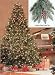 6.5' Pre-Lit Full Hawthorne Fir Frosted Artificial Christmas Tree - Clear Lights