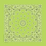 PetEdge Cotton/Polyester Paisley Dog Bandana, Lime