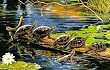 Standing Room Only 550pc Jigsaw Puzzle by Carol Decker
