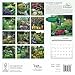 Country Gardens 2016 Square 12x12 Wyman