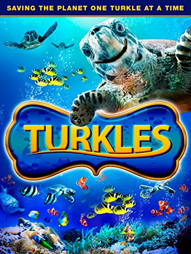 Turkles