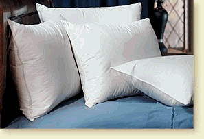 Pacific Coast Touch of Down Standard Pillow Set 