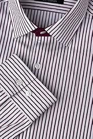 Autograph Pure Cotton Twill Striped Shirt