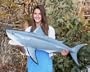 Giant Taxidermy Great White Shark 40" Full Wall Mount