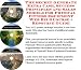 The Secret Generate Extra Cash, Success Principles and Sales Models for Physical Fitness Equipment Web Biz 3 Course + Resource Guide