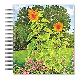 ECOeverywhere Sunflower Duet Picture Photo Album, 18 Pages, Holds 72 Photos, 7.75 x 8.75 Inches, Multicolored (PA12421)