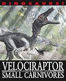 Velociraptor and other raptors and small carnivores