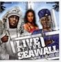 Live at the Seawall 2