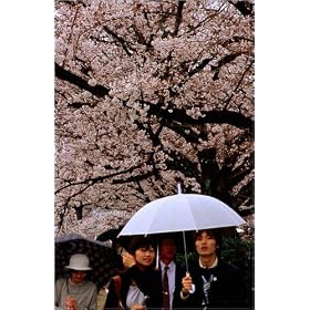 photographie People holding umbrellas and walking along Path of Philosophy under sakura (cherry b...