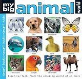 My big animal world