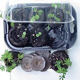 TickleMe Plant Growing Kit