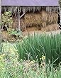 Hay Barn, Parlange Plantation, Louisiana Photograph - Beautiful 16x20-inch Photographic Print by Carol M. Highsmith