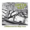  1,039 Smoothed Out Slappy Hours