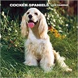 Cocker Spaniels 2008 Wall Calendar