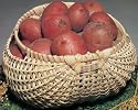 Blue Ridge Basket Kit - Potato Basket