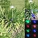 Solar Powered Turtle Garden/yard Decor Stake Color Changing LED Light by TMG