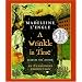 A Wrinkle In Time