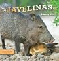 Look West Javelinas-c