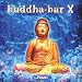 Buddha-Bar Vol.10