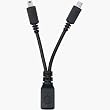 Motorola Y-Charging Cable for USB Ports Motorola Y-Charging Cable for USB Ports