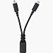 Motorola Y-Charging Cable for USB Ports
