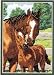 Cross Stitch Kit Mother's Pride Horses Gold Collection Petites