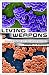 Living Weapons: Biological Warfare and International Security (Cornell Studies in Security Affairs)