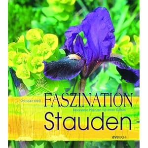 Faszination Stauden: Besondere Pflanzen für Ihren Garten