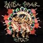 Bro's (Terrestrial Tones Remix)
