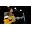 Vignette de Stephen Stills
