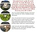 Book Massive Cash Flow Pack with Make An Extra Income, Inner Game and eCommerce for High Protein Diet Products On-line Biz Package (3 CDs)