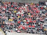 Jigsaw of Arsenal fans from Arsenal FC