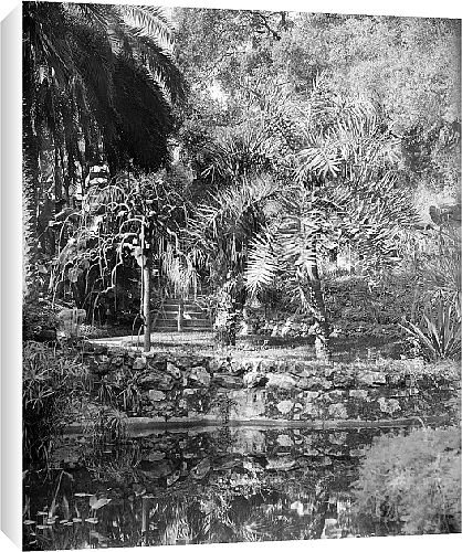 Canvas Prints of Djenan-el-Mufti from Country Life Canvas Prints of Djenan-el-Mufti from Country Life