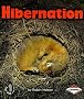 Hibernation (First Step Nonfiction)
