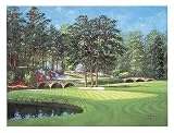 11Th At Augusta White Dogwood by Bernard Willington 24 x 18  Canvas Art