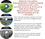 The Fantastic Promotion, Godfather Principles and Accounting & Finance for Paintball Helmets On-line Businesses 3 CD Course