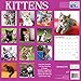 Avalon 12 x 12 Inches Kittens 2015 16-Month Wall Calendar (84435)