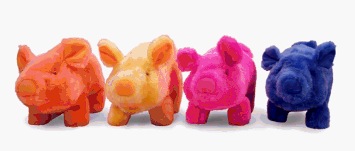 Mr. Bacon Pig Racing Toy 12-Pack