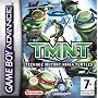 Teenage Mutant Ninja Turtles (GBA)