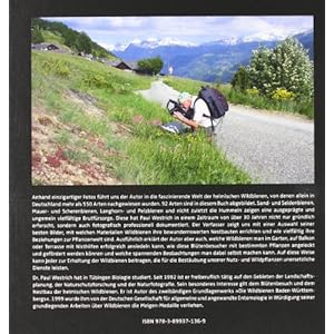 Wildbienen: Die anderen Bienen