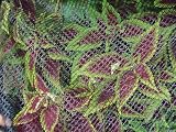 Dewitt 14-Foot by 14-Foot Bird Barricade Deluxe Netting 1/4-Inch Mesh #BB1414DLX