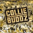 Collie Buddz