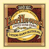 Ernie Ball Earthwood 5-string Banjo 80/20 Bronze Loop End Bluegrass Set, .009 - .020